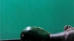 Cucumber Fucker